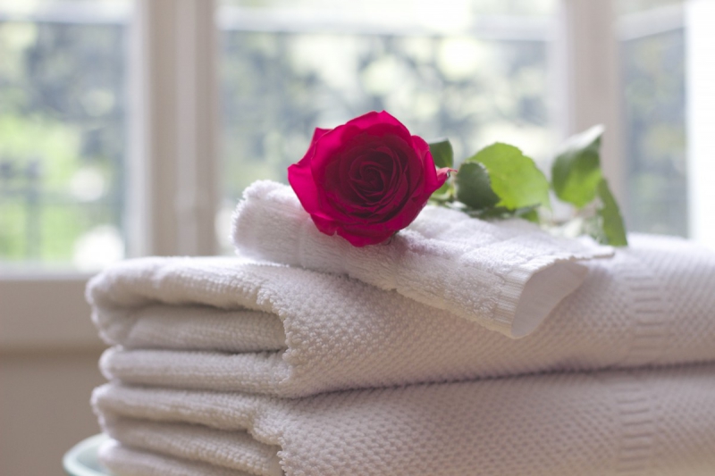 chambre-hote-MANDELIEU LA NAPOULE-min_towel_rose_clean_care_salon_spa_white_bath-731641